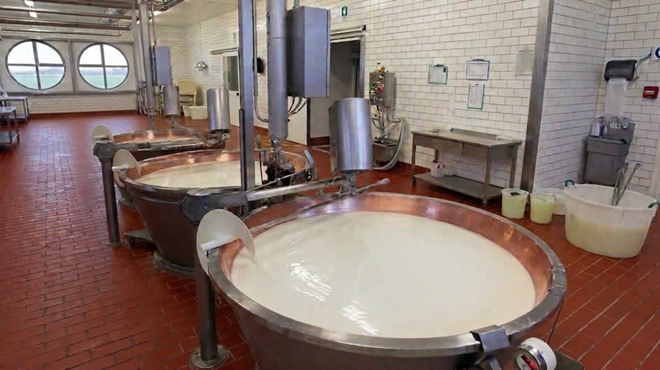 Dairy Tile Floor Maintenance Services
