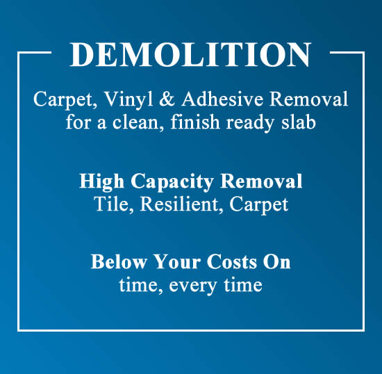 Floor Demolition Removal Services
