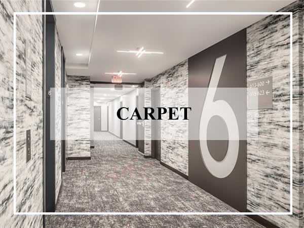 Tile and Flooring - Carpet